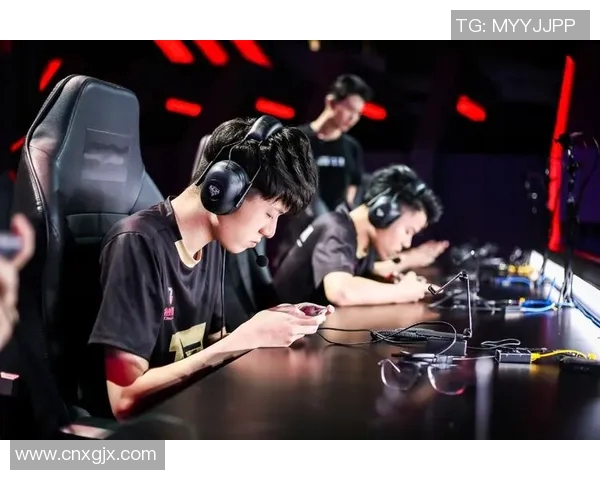 王者荣耀S15赛季RNG战队的拼搏历程与荣耀瞬间全记录