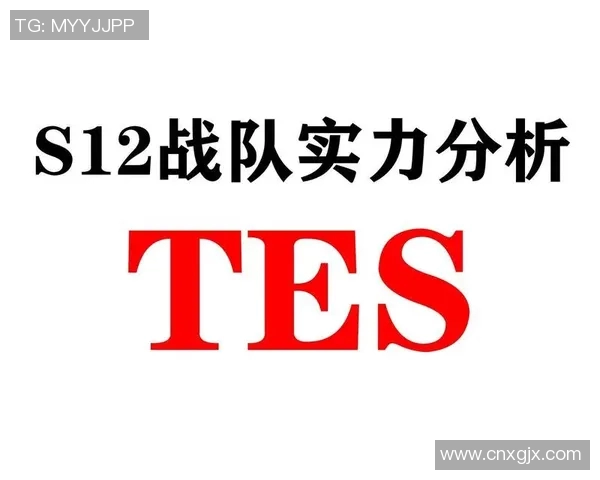 TES战队选手个人能力深度分析与比赛表现评估实时数据