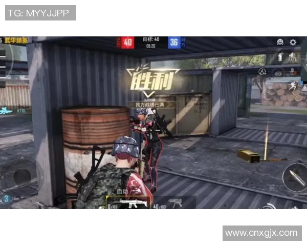 esports数据S15LOL比赛与和平精英焦点LNG团队协作策略深入分析与探讨